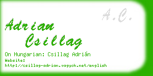 adrian csillag business card